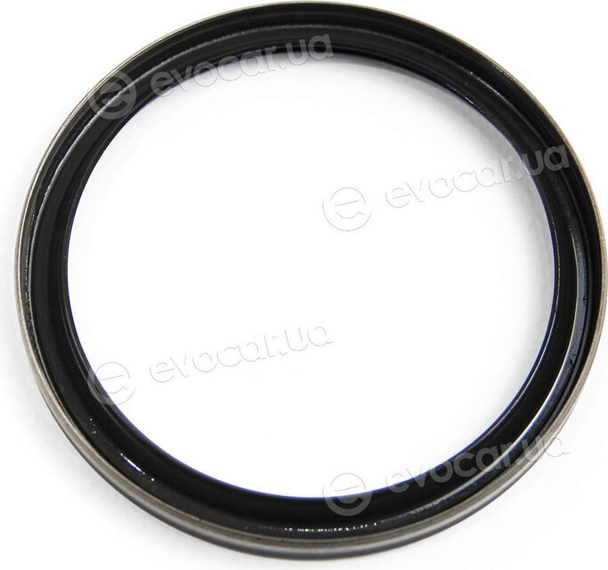Elring 492.060
