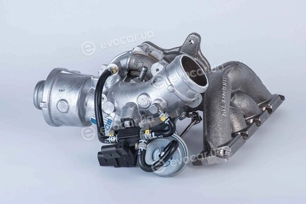 BorgWarner 53039880141