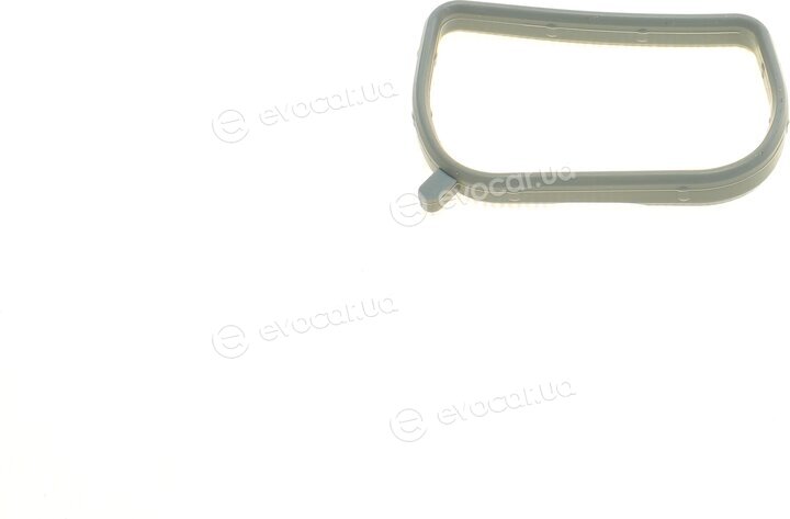 Elring 855.060