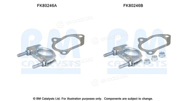 BM Catalysts FK80246