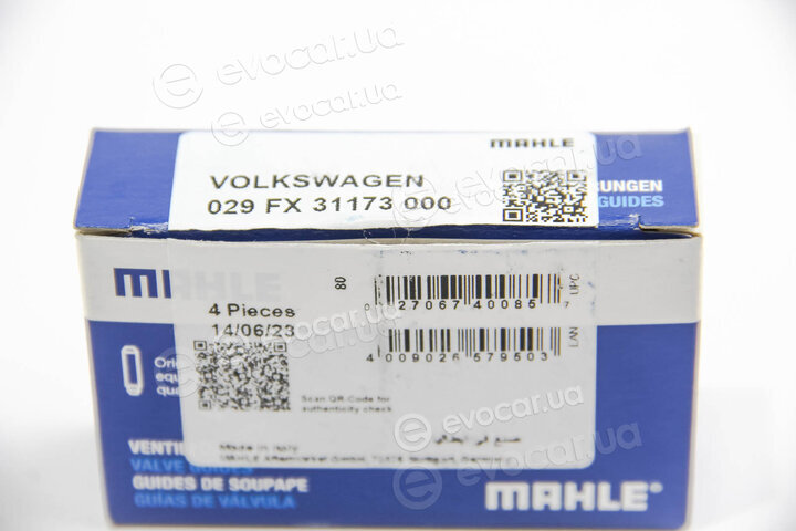 Mahle 029 FX 31173 000