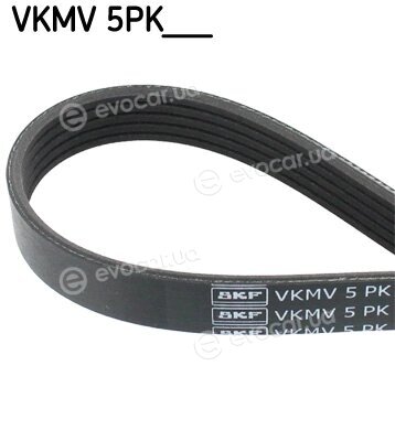 SKF VKMV 5PK1010