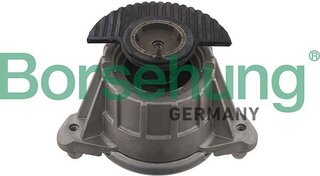 Borsehung B12643