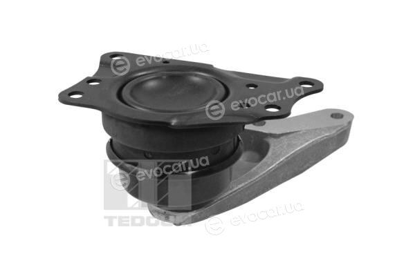 Tedgum 00729405