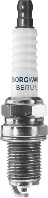 BorgWarner Z100