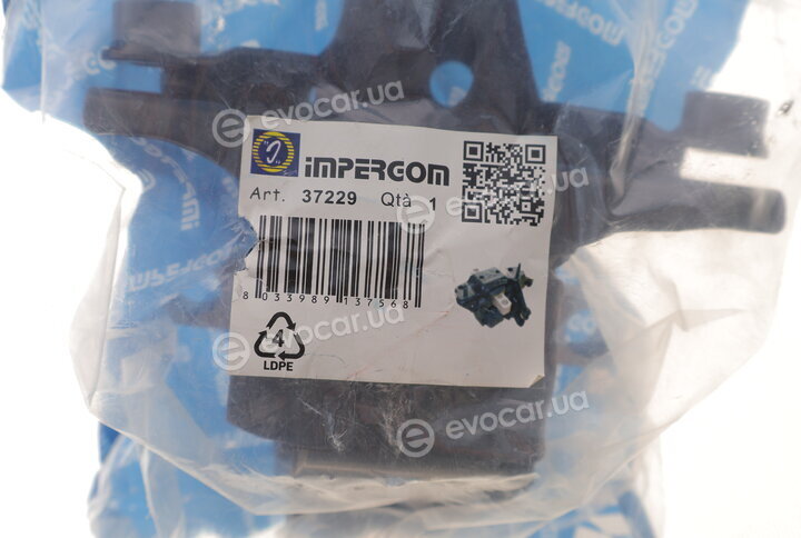 Impergom 37229