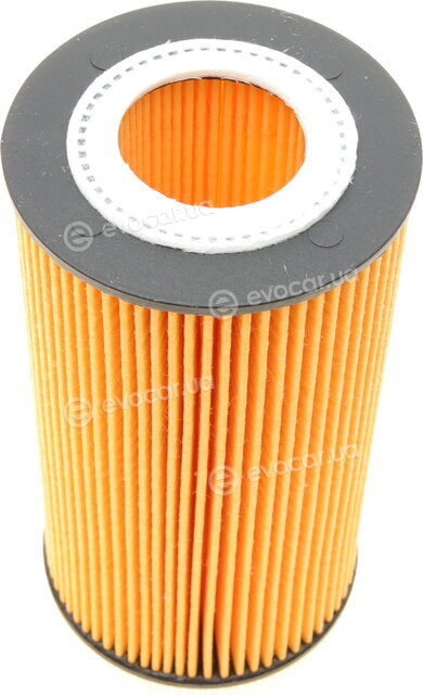 Bosch F 026 407 007