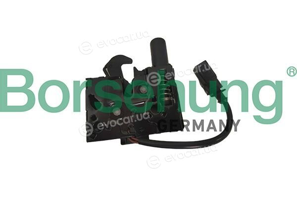 Borsehung B12898