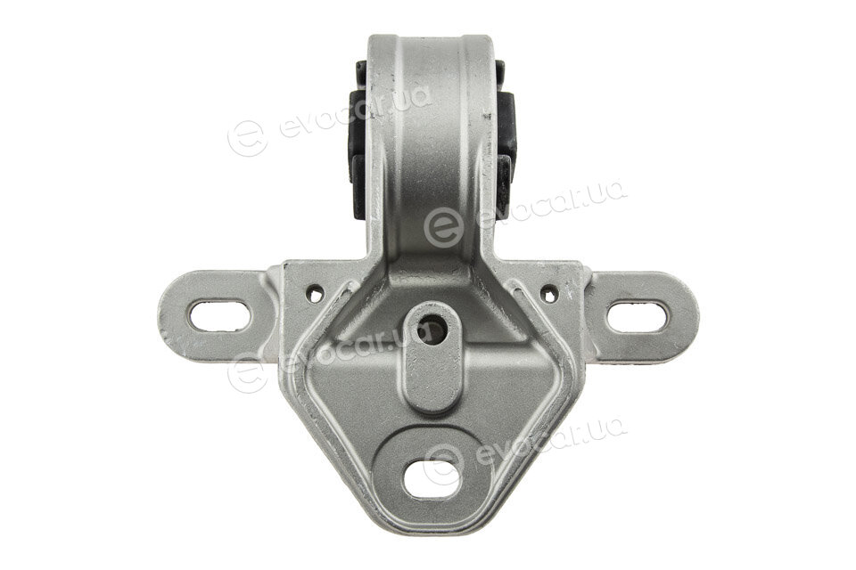 NTY ZPS-CH-001