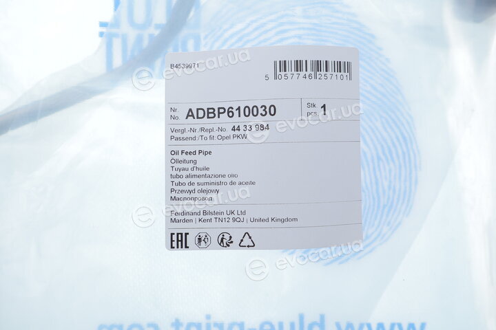 Blue Print ADBP610030