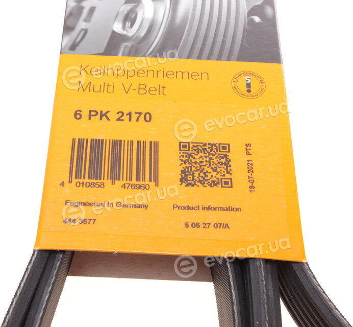 Continental 6PK2170