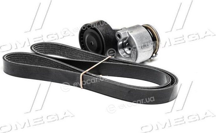 Dayco KPV149