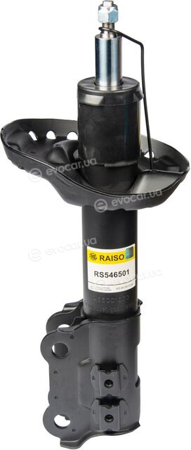 Raiso RS546501