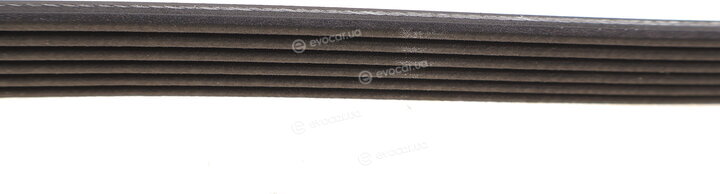 Dayco 6PK1468