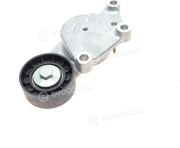 Dayco APV3221