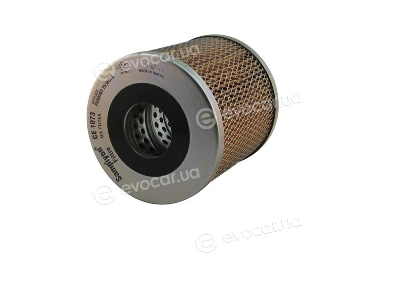 Sampiyon CE 1073