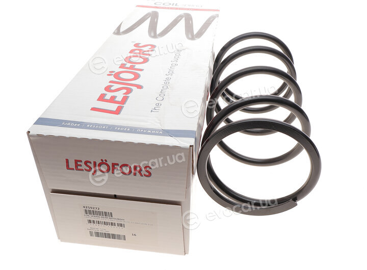 Lesjofors 4259272