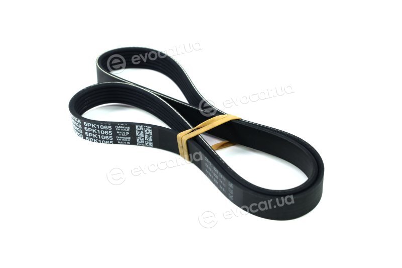 Dayco 6PK1065