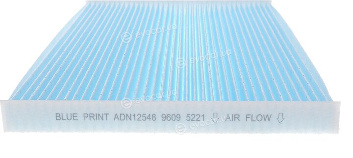 Blue Print ADN12548