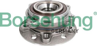 Borsehung B11715