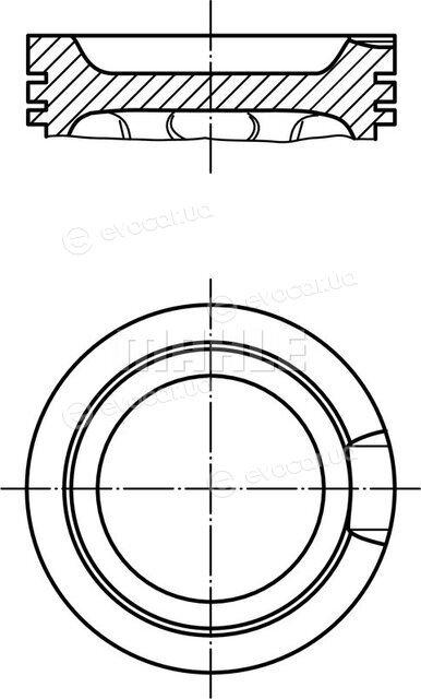 Mahle 033 16 02