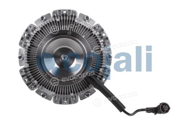 Cojali 7033418