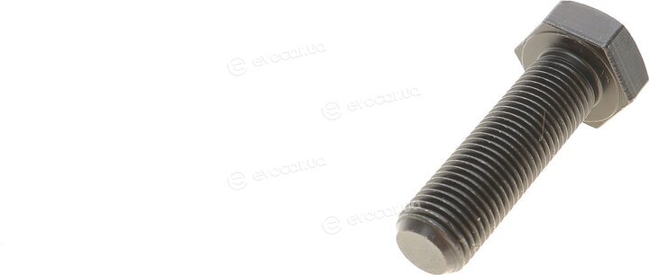 Solgy 203118