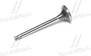 Gunes 3987