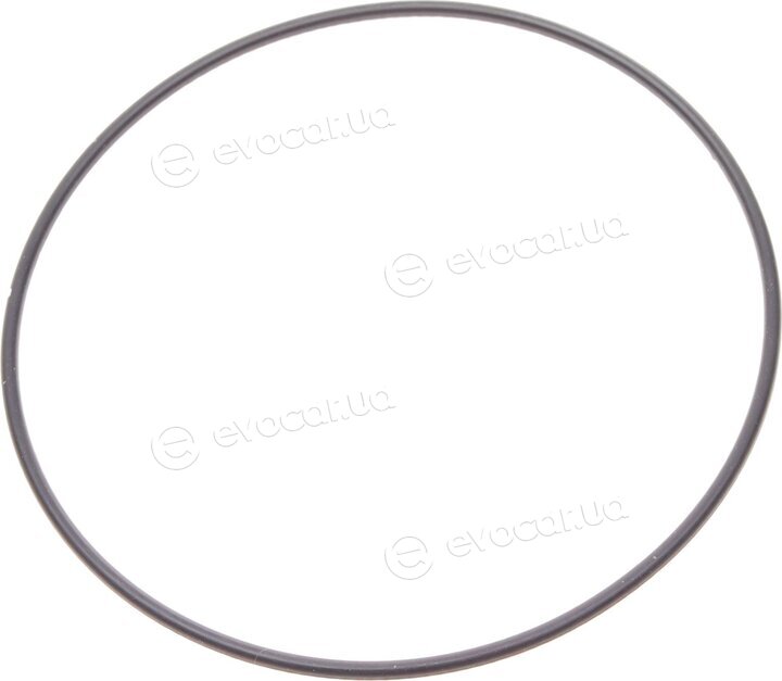 Dayco KTBWP3170