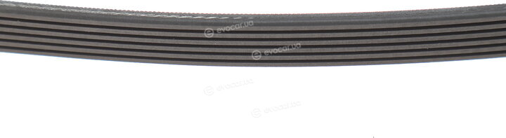 Gates 6PK1595