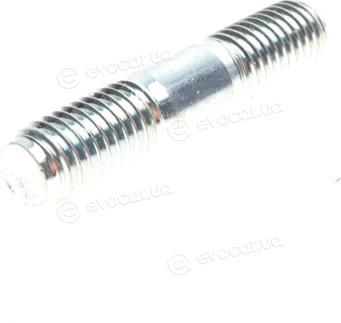 Continental WP6031