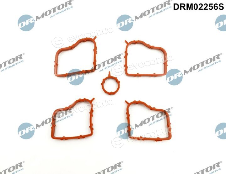 Dr. Motor DRM02256S