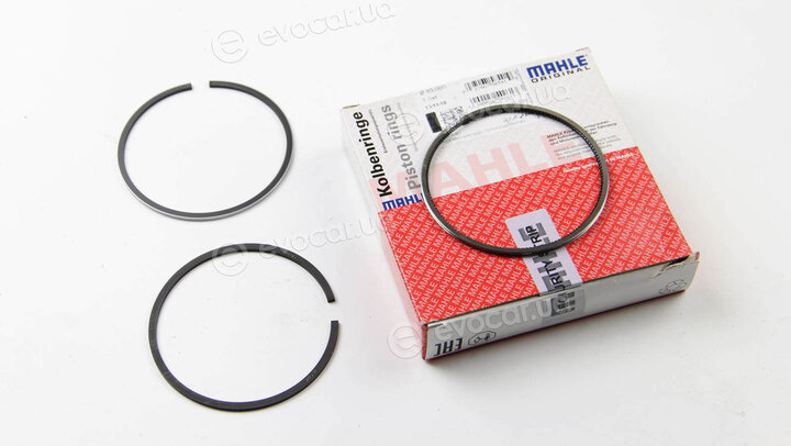 Mahle 039 24 N0