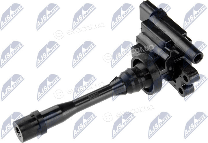 NTY ECZ-MS-006