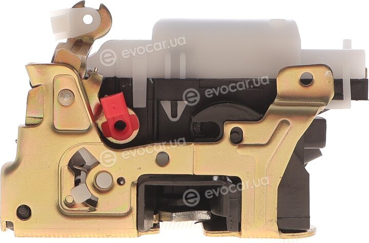 Solgy 305036
