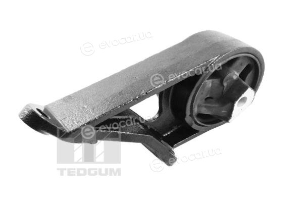 Tedgum TED49330