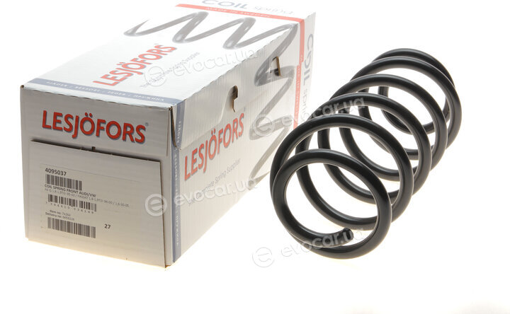 Lesjofors 4095037