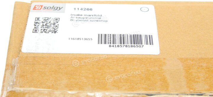 Solgy 114266