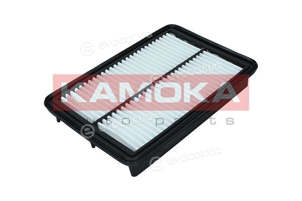 Kamoka F246301