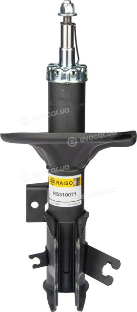 Raiso RS310071