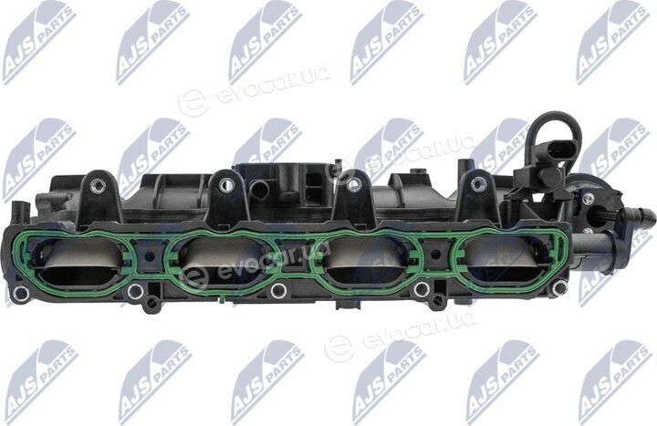 NTY BKS-VW-018