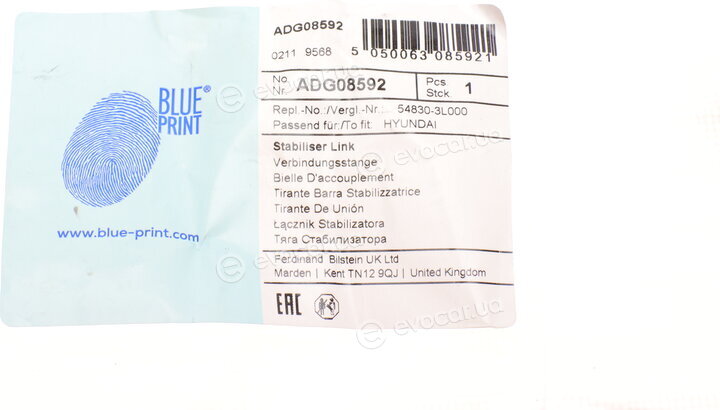 Blue Print ADG08592