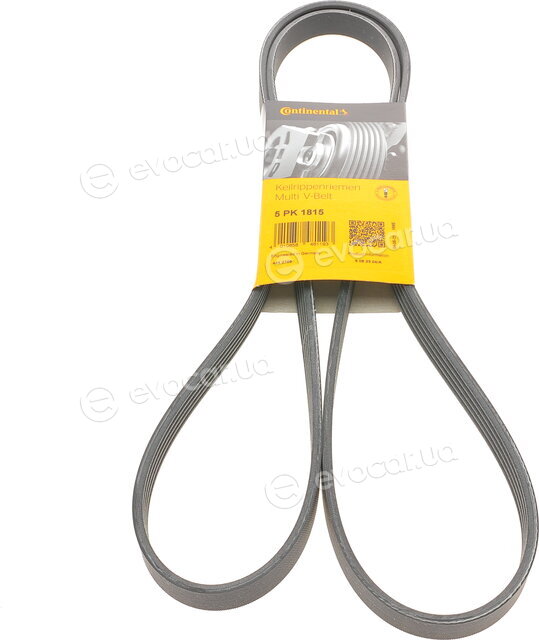 Continental 5PK1815
