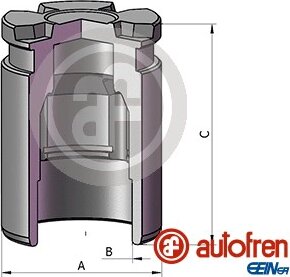Autofren D025805