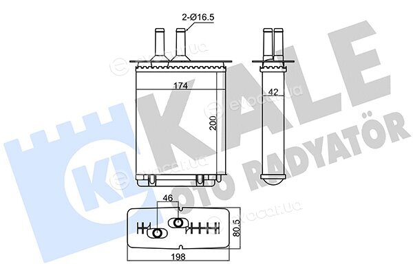 Kale 346370