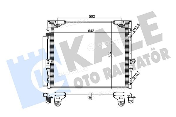 Kale 342645