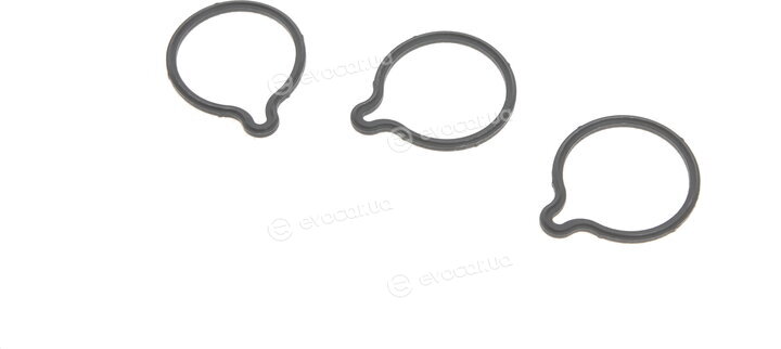 Bosch F01M101454