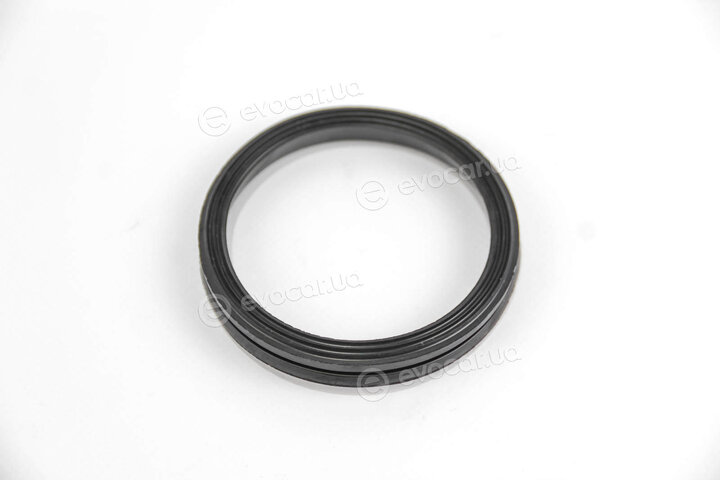 Elring 302.690
