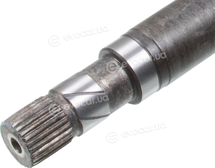 Febi 182884