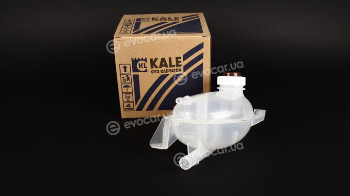 Kale 348825